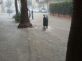 corso garibaldi melito