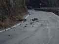 masella