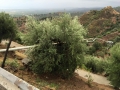 CENTROSTORICO-120815 (12)