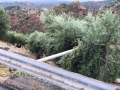 CENTROSTORICO-120815 (8)