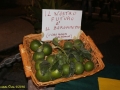 centrale-carbone-saline-m5s-22