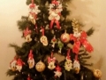 circolo-meli-natale-13