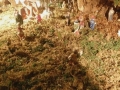 circolo-meli-natale (7)