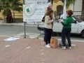 festa-albero-melito-porto-salvo (13)