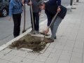 festa-albero-melito-porto-salvo (15)