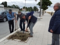 festa-albero-melito-porto-salvo (16)