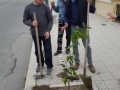 festa-albero-melito-porto-salvo (17)