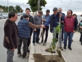 festa-albero-melito-porto-salvo (18)
