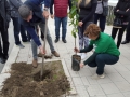 festa-albero-melito-porto-salvo (19)