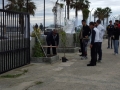 festa-albero-melito-porto-salvo (2)
