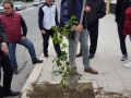 festa-albero-melito-porto-salvo (20)