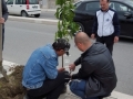 festa-albero-melito-porto-salvo (21)