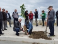 festa-albero-melito-porto-salvo (23)