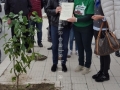 festa-albero-melito-porto-salvo (25)