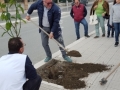 festa-albero-melito-porto-salvo (26)