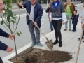 festa-albero-melito-porto-salvo (27)