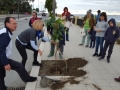 festa-albero-melito-porto-salvo (29)