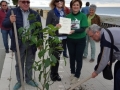 festa-albero-melito-porto-salvo (30)