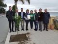 festa-albero-melito-porto-salvo (31)