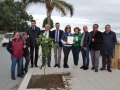 festa-albero-melito-porto-salvo (32)