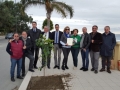 festa-albero-melito-porto-salvo (33)
