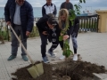 festa-albero-melito-porto-salvo (34)