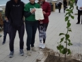 festa-albero-melito-porto-salvo (35)