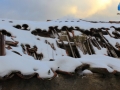 neve-bova (5)