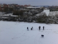 neve-rende (4)