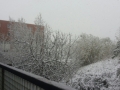 neve-rende (2)