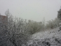neve-rende (6)