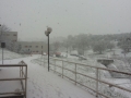 neve-rende (7)