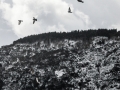 neve-roccaforte-2017 (1)