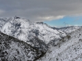 neve-roccaforte-gennaio-2017 (2)