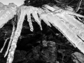 neve-roccaforte-gennaio-2017 (8)