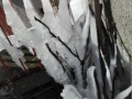 neve-sa-lorenzo-2017 (7)