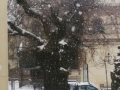 neve-san-lorenzo (10)