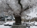 neve-san-lorenzo (5)