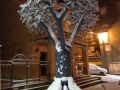 neve-soveria (8)
