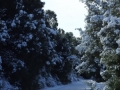 calabria-neve-01