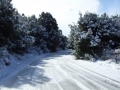 calabria-neve-03