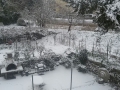 calabria-neve-21