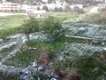 calabria-neve-27