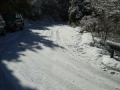 calabria-neve-29
