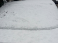 calabria-neve-30