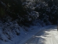 calabria-neve-33