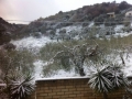 calabria-neve-34
