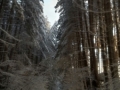 calabria-neve-37