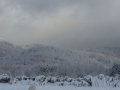 calabria-neve-38