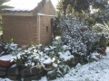 calabria-neve-41